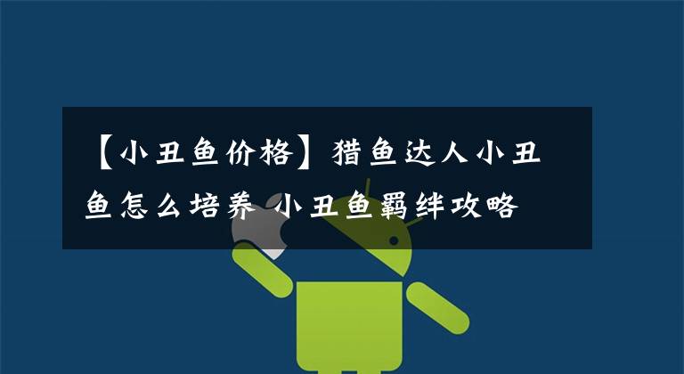 【小丑鱼价格】猎鱼达人小丑鱼怎么培养 小丑鱼羁绊攻略
