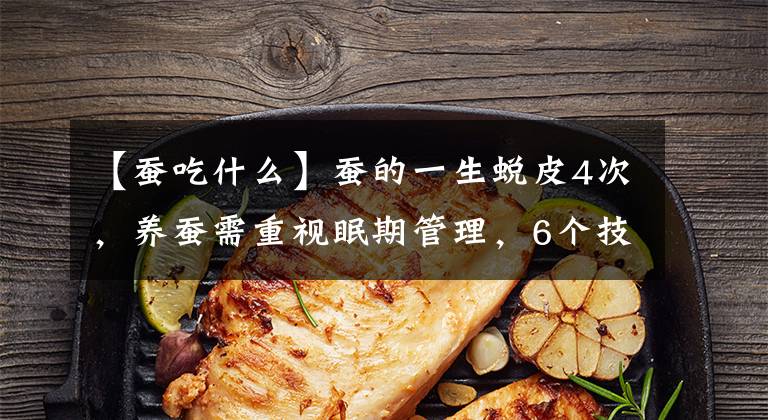 【蚕吃什么】蚕的一生蜕皮4次，养蚕需重视眠期管理，6个技术要点得掌握