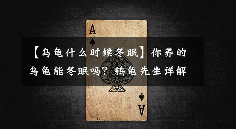 【乌龟什么时候冬眠】你养的乌龟能冬眠吗?鸫龟先生详解什么样的乌龟才可以或不能冬眠