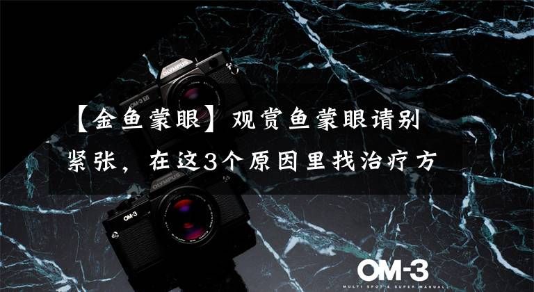 【金鱼蒙眼】观赏鱼蒙眼请别紧张,在这3个原因里找治疗方案,也可作有效预防