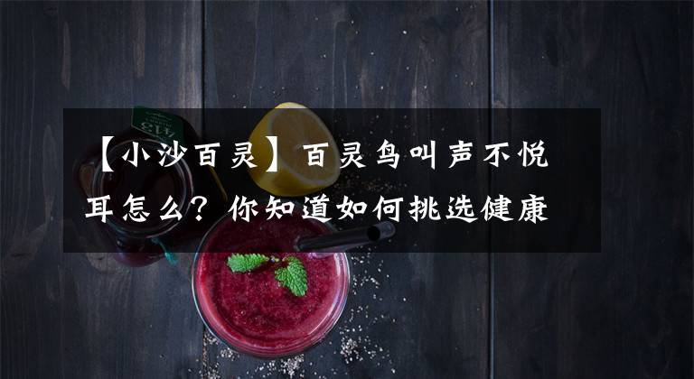 【小沙百灵】百灵鸟叫声不悦耳怎么？你知道如何挑选健康的百灵鸟？