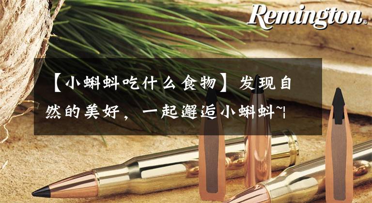 【小蝌蚪吃什么食物】发现自然的美好，一起邂逅小蝌蚪~|一千零一叶·第199叶