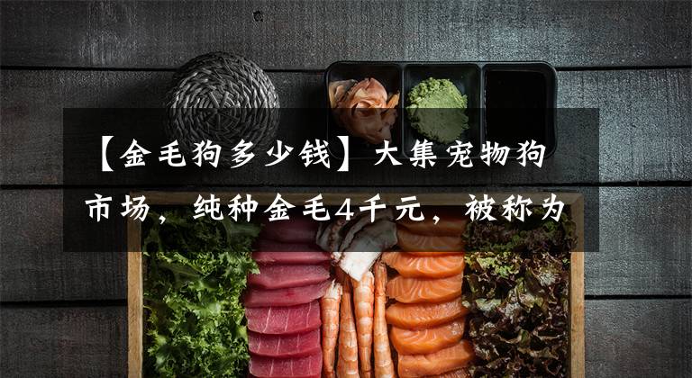 【金毛狗多少钱】大集宠物狗市场,纯种金毛4千元,被称为哮天犬的狗狗2千元