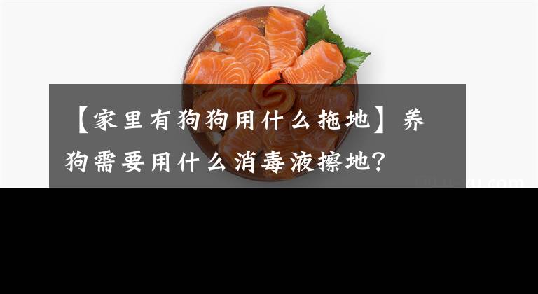 【家里有狗狗用什么拖地】养狗需要用什么消毒液擦地?
