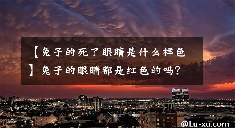 【兔子的死了眼睛是什么样色】兔子的眼睛都是红色的吗?真相被解读了