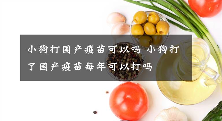 小狗打国产疫苗可以吗 小狗打了国产疫苗每年可以打吗