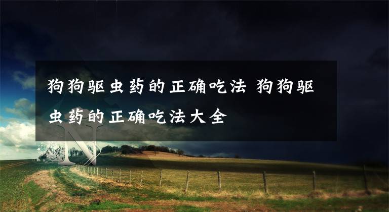 狗狗驱虫药的正确吃法 狗狗驱虫药的正确吃法大全