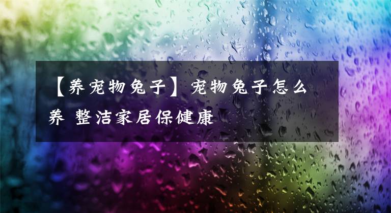【养宠物兔子】宠物兔子怎么养 整洁家居保健康