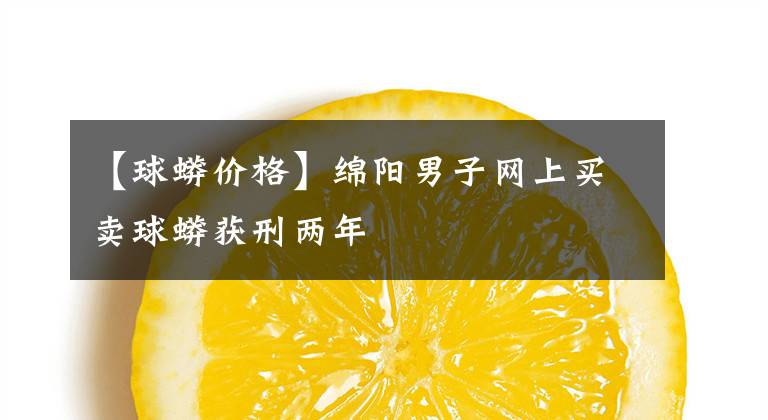 【球蟒价格】绵阳男子网上买卖球蟒获刑两年