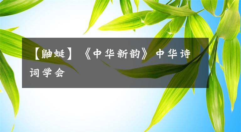 【鼬蜓】《中华新韵》中华诗词学会