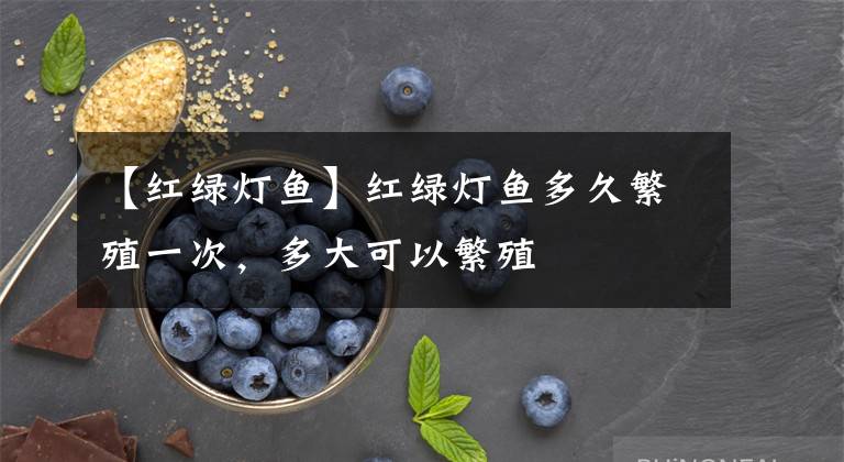 【红绿灯鱼】红绿灯鱼多久繁殖一次，多大可以繁殖