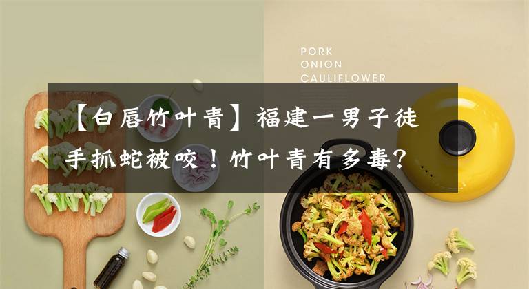 【白唇竹叶青】福建一男子徒手抓蛇被咬！竹叶青有多毒？比五步蛇还强20倍？