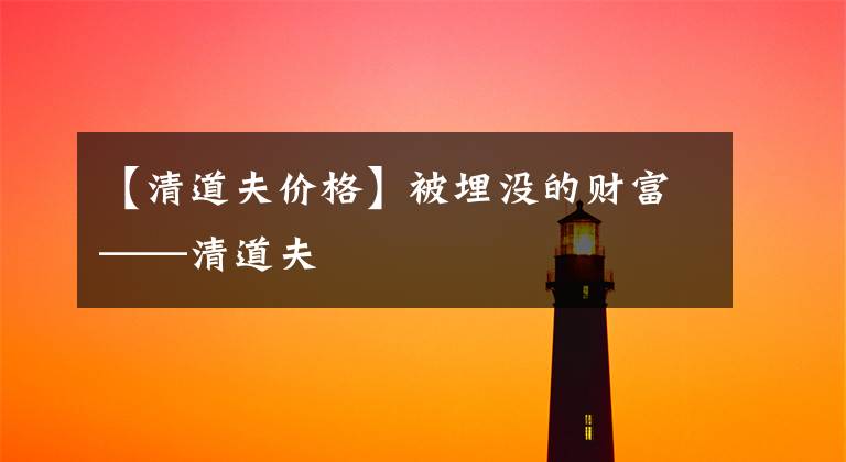 【清道夫价格】被埋没的财富——清道夫