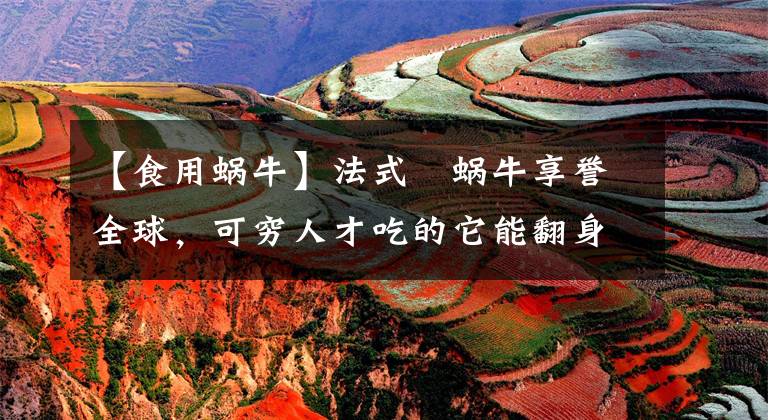 【食用蜗牛】法式焗蜗牛享誉全球，可穷人才吃的它能翻身全靠吃货俄国沙皇…