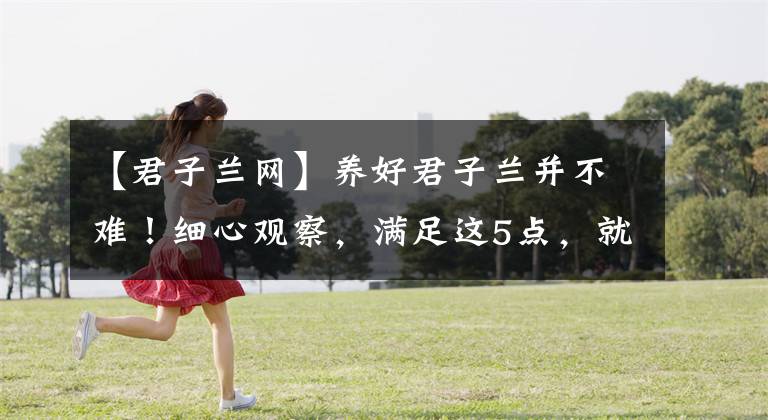 【君子兰网】养好君子兰并不难！细心观察，满足这5点，就能开花！