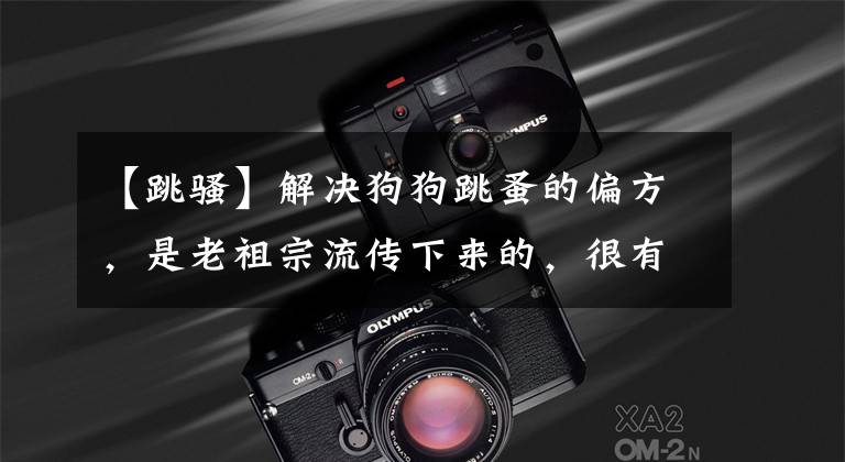 【跳骚】解决狗狗跳蚤的偏方,是老祖宗流传下来的,很有用