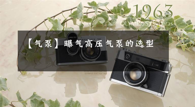 【气泵】曝气高压气泵的选型