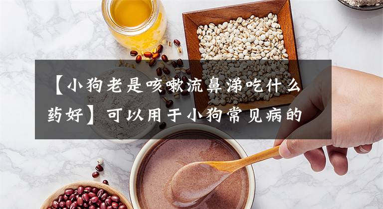 【小狗老是咳嗽流鼻涕吃什么药好】可以用于小狗常见病的药值得收藏