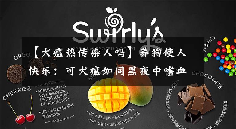 【犬瘟热传染人吗】养狗使人快乐：可犬瘟如同黑夜中嗜血的魑魅，宠主会被传染吗？