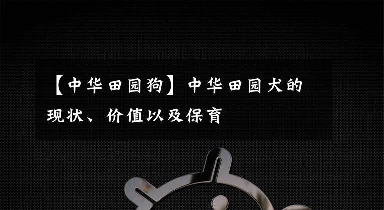【中华田园狗】中华田园犬的现状、价值以及保育