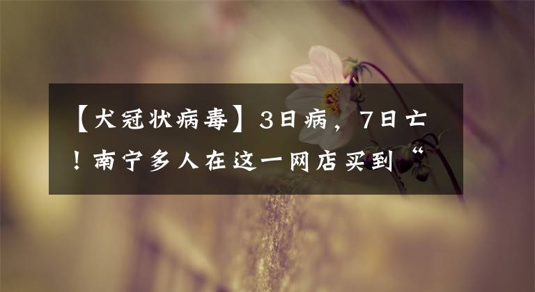 【犬冠状病毒】3日病，7日亡！南宁多人在这一网店买到“星期宠物”