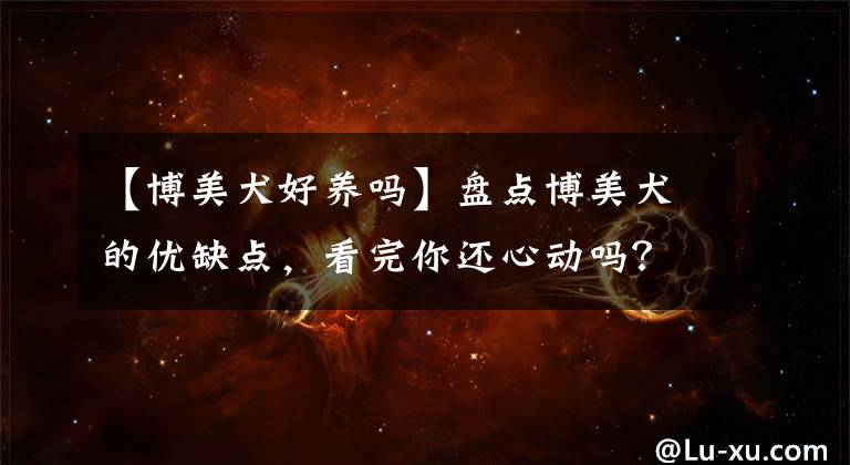 【博美犬好养吗】盘点博美犬的优缺点，看完你还心动吗？