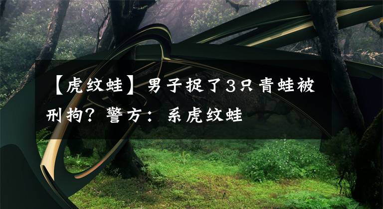 【虎纹蛙】男子捉了3只青蛙被刑拘？警方：系虎纹蛙