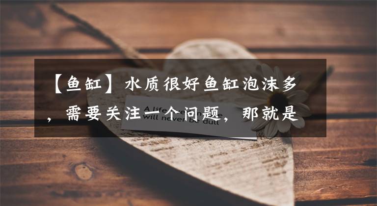 【鱼缸】水质很好鱼缸泡沫多,需要关注一个问题,那就是下水的管道过粗
