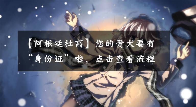 【阿根廷杜高】您的爱犬要有“身份证”啦，点击查看流程