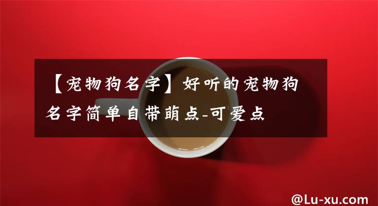 【宠物狗名字】好听的宠物狗名字简单自带萌点-可爱点