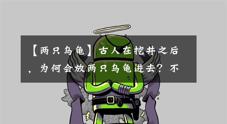 【两只乌龟】古人在挖井之后,为何会放两只乌龟进去?不得不佩服古人的智慧