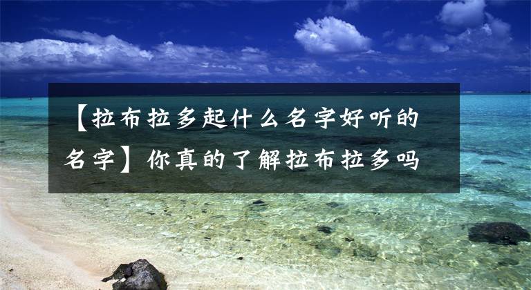 【拉布拉多起什么名字好听的名字】你真的了解拉布拉多吗？