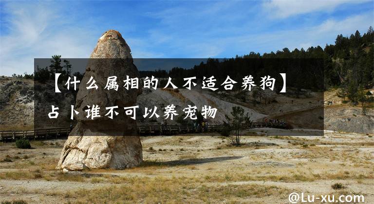 【什么属相的人不适合养狗】占卜谁不可以养宠物