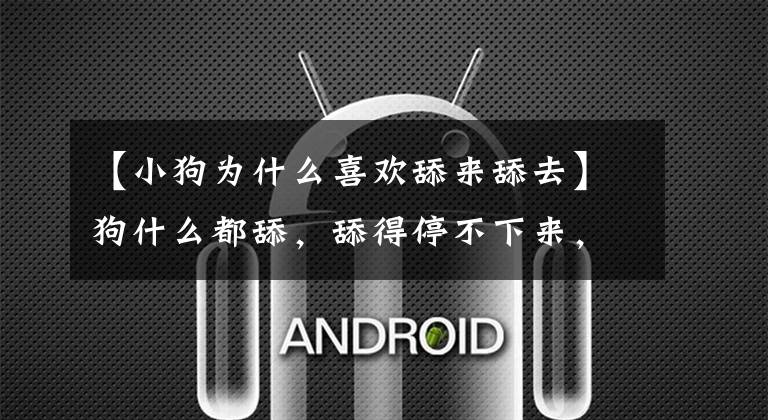 【小狗为什么喜欢舔来舔去】狗什么都舔，舔得停不下来，是不是得了什么病？