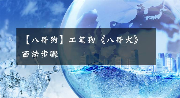 【八哥狗】工笔狗《八哥犬》画法步骤
