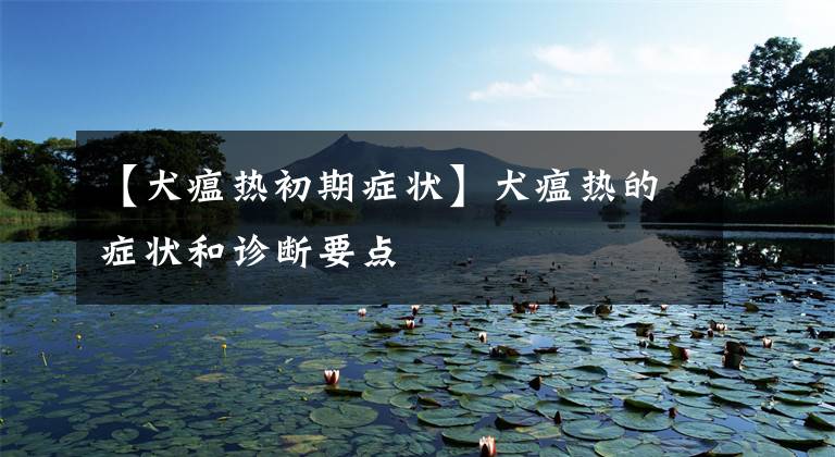 【犬瘟热初期症状】犬瘟热的症状和诊断要点