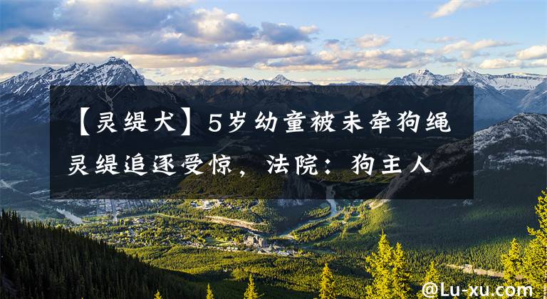 【灵缇犬】5岁幼童被未牵狗绳灵缇追逐受惊,法院:狗主人应赔礼道歉