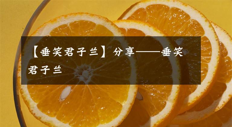 【垂笑君子兰】分享——垂笑君子兰