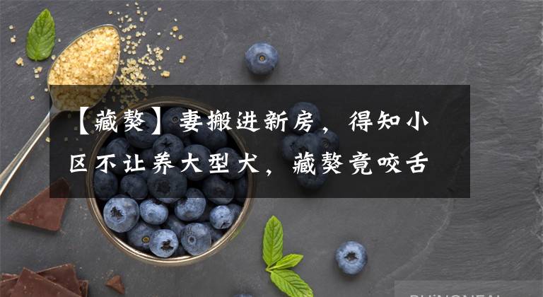 【藏獒】妻搬进新房，得知小区不让养大型犬，藏獒竟咬舌自尽！催泪片