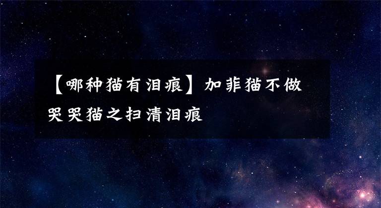 【哪种猫有泪痕】加菲猫不做哭哭猫之扫清泪痕