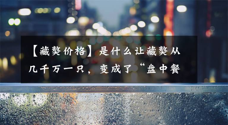 【藏獒价格】是什么让藏獒从几千万一只,变成了“盘中餐”?