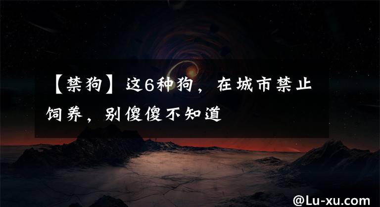 【禁狗】这6种狗,在城市禁止饲养,别傻傻不知道