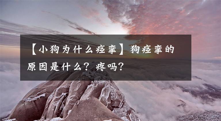【小狗为什么痉挛】狗痉挛的原因是什么？疼吗？