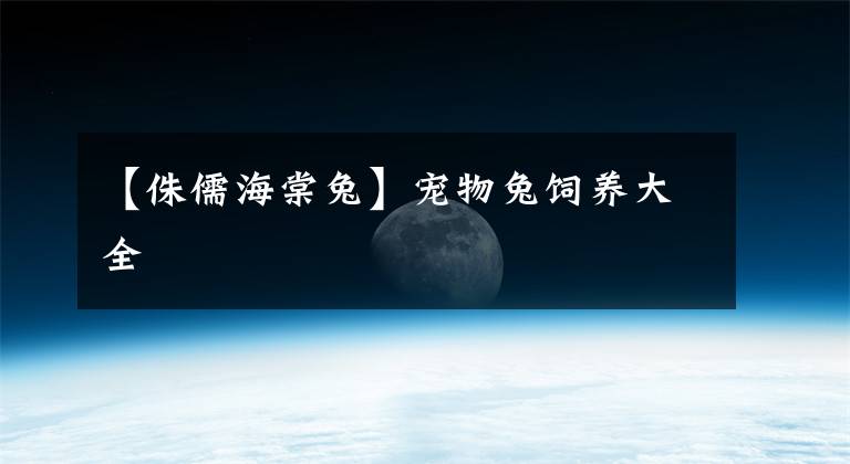 【侏儒海棠兔】宠物兔饲养大全
