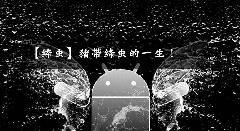 【绦虫】猪带绦虫的一生！