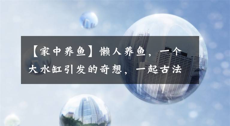 【家中养鱼】懒人养鱼,一个大水缸引发的奇想,一起古法养鱼呀