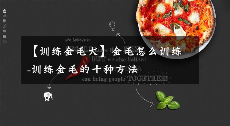 【训练金毛犬】金毛怎么训练-训练金毛的十种方法
