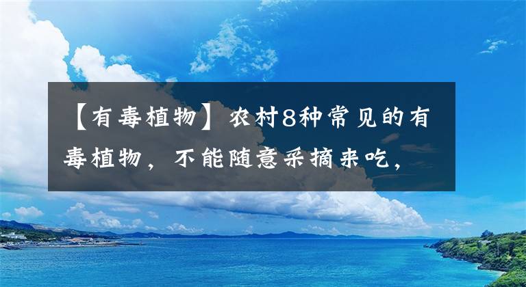 【有毒植物】农村8种常见的有毒植物，不能随意采摘来吃，收藏起来并告诉家人