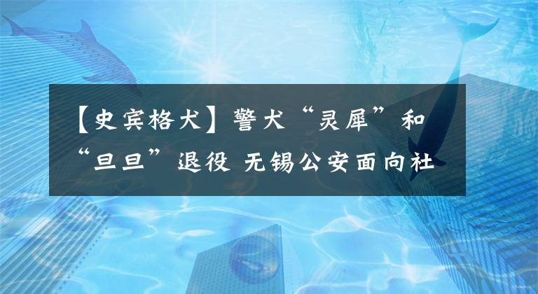 【史宾格犬】警犬“灵犀”和“旦旦”退役 无锡公安面向社会公开征集新主人