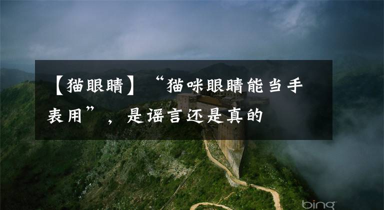 【猫眼睛】“猫咪眼睛能当手表用”,是谣言还是真的